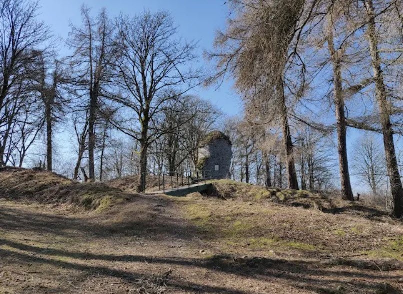 Ruine Königsburg HWN 41, Germany, Germany